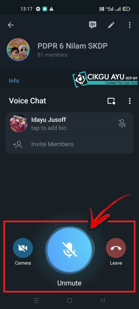 Telegram Video Call Mute